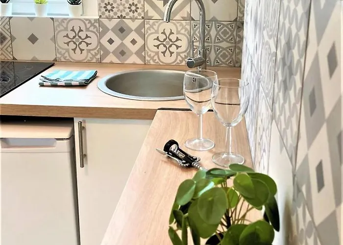 Le Colvert-charmant Proche Centre Et Gare *